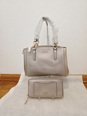 COACH Mini Christie Carryall + Accordian Zip Wallet In IM/Platinum